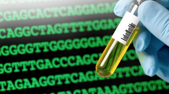Genomic Test May Predict Which Patients Would Benefit Most from Checkpoint Inhibition Thumbnail