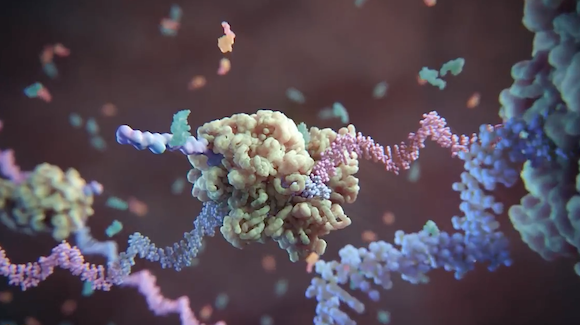How Exactly Does Gene Transfer via AAV Work? Thumbnail