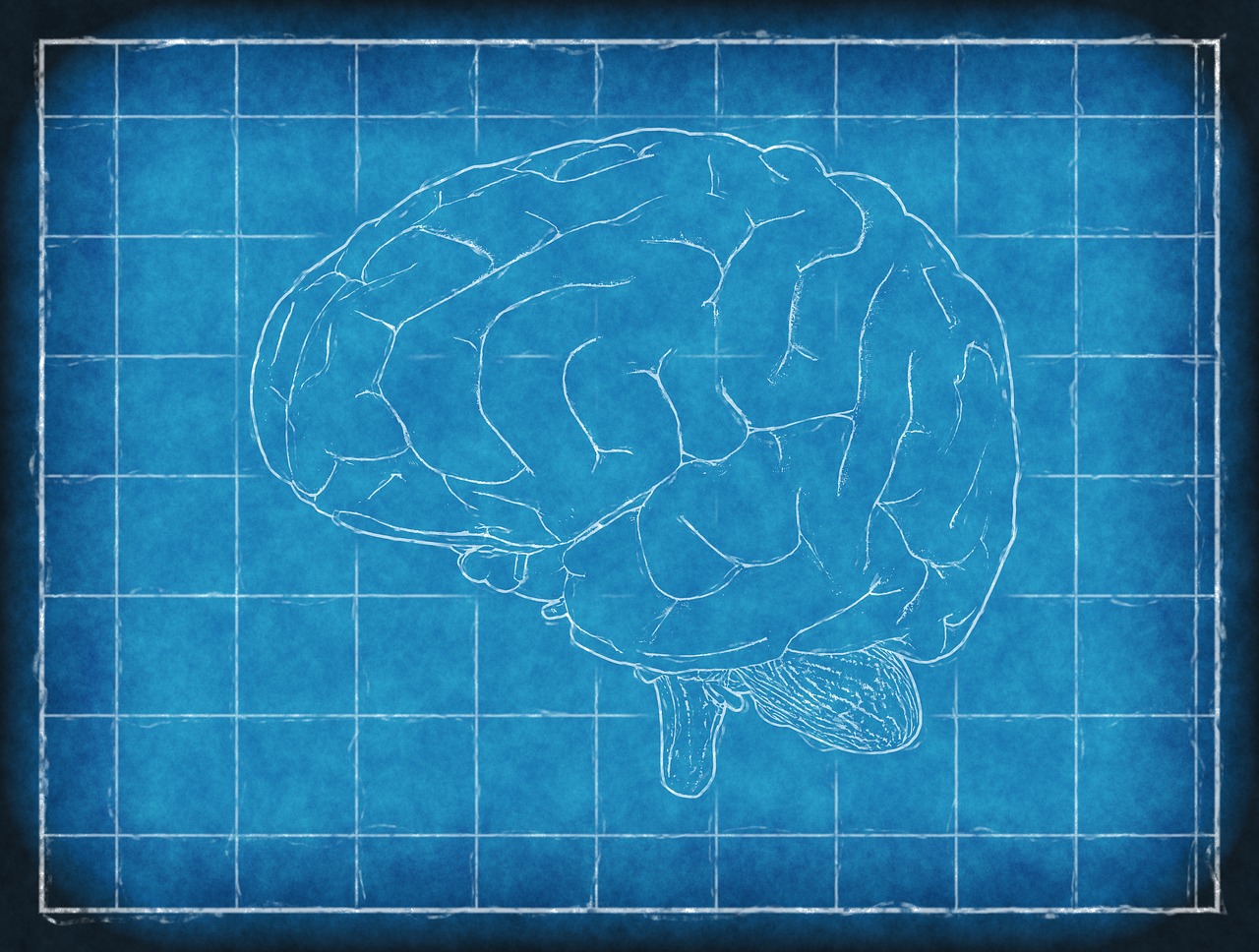 Recent Developments of Brain Stimulation Can Help Movement Disorders Thumbnail