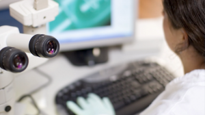 Thumbnail image for <i>MSH3</i> Gene Reveals Critical Link With Huntington’s Disease. Click to play.