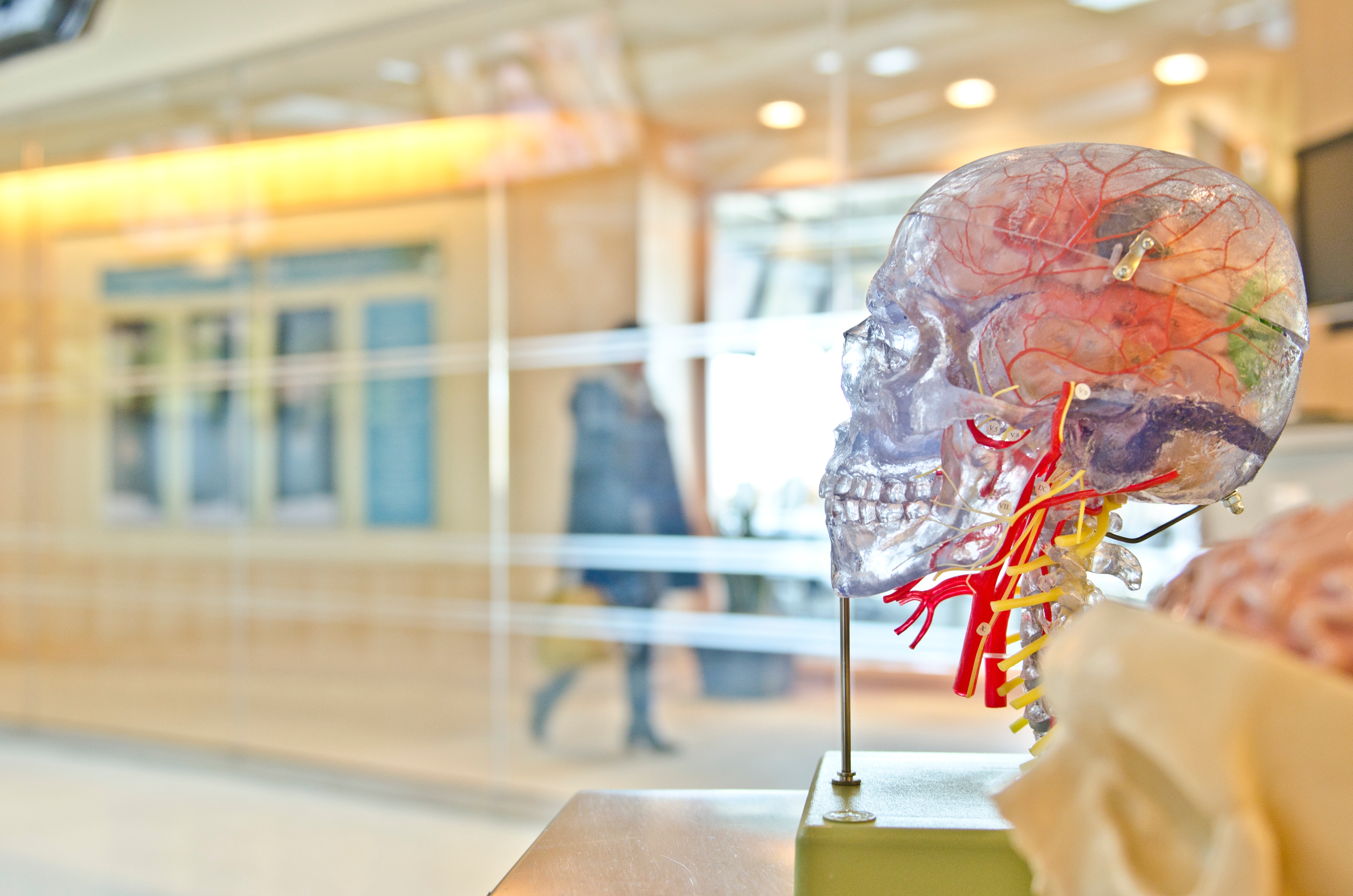 A New Way of Treating Degenerative Movement Disorders Thumbnail