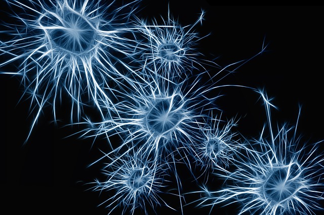 Defeating Parkinson’s Disease by Reprogramming Neurons Thumbnail