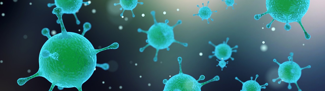 Broad Spectrum Protection for Marburg and RAVN Viruses Thumbnail