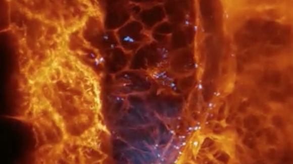 Hybrid Microscope Yields Incredibly Detailed Cellular Imagery In Vivo Thumbnail