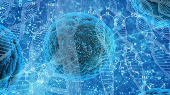 Organ Regeneration Remains Top Priority at 2018 World Stem Cell Summit Thumbnail