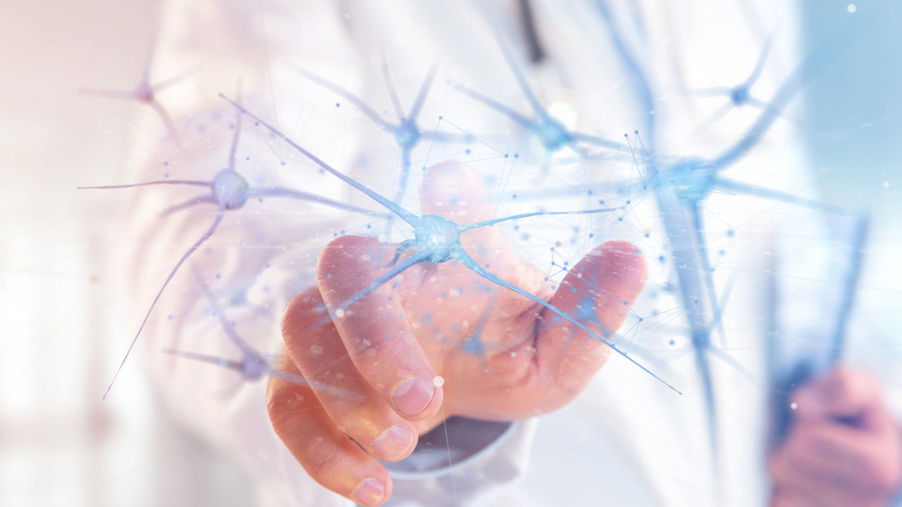 Biomaterial May Protect Neurons from Premature Death After Transplantation Thumbnail