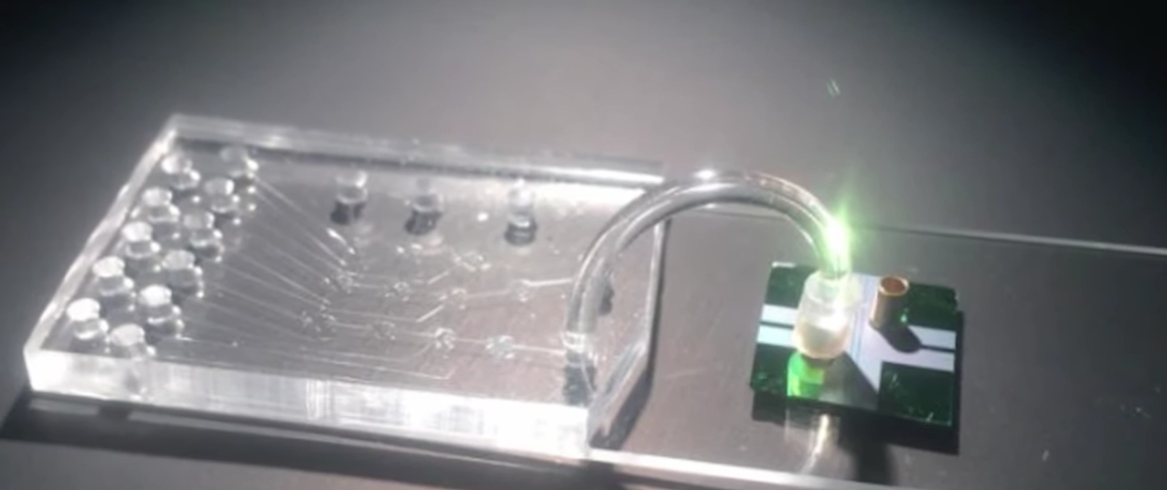 Microchip Can Immediately Detect Presence of Zika Virus Thumbnail