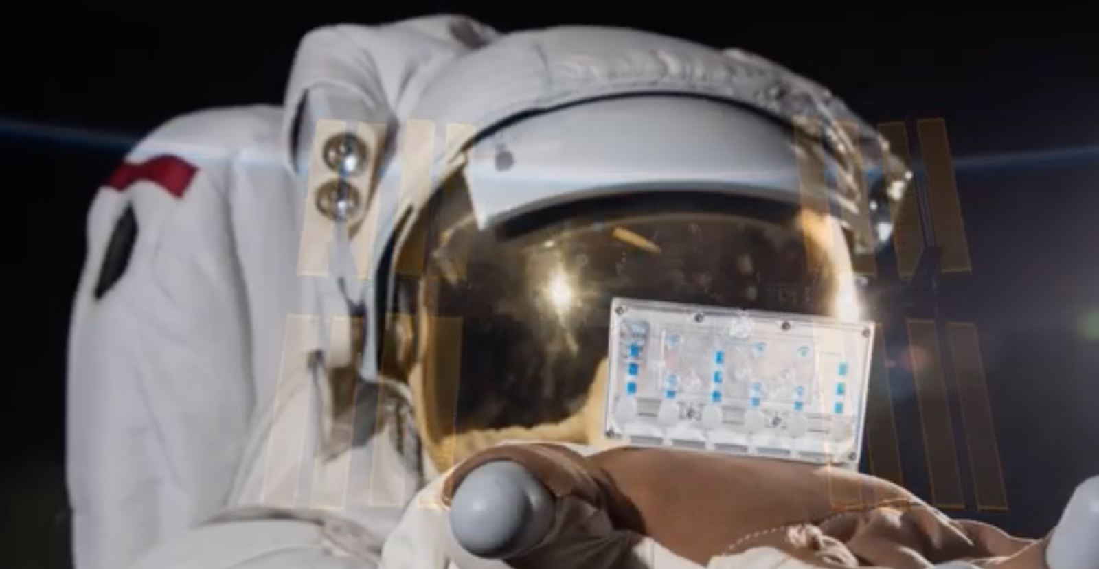 Kidneys-on-a-Chip Get Launched into Space Thumbnail