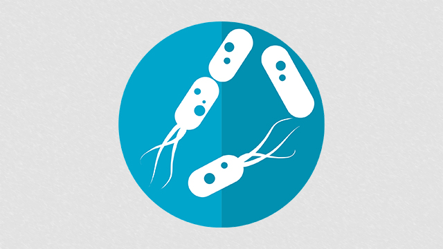 Altering Gut Microbiome May Improve ICI Outcomes in RCC Thumbnail