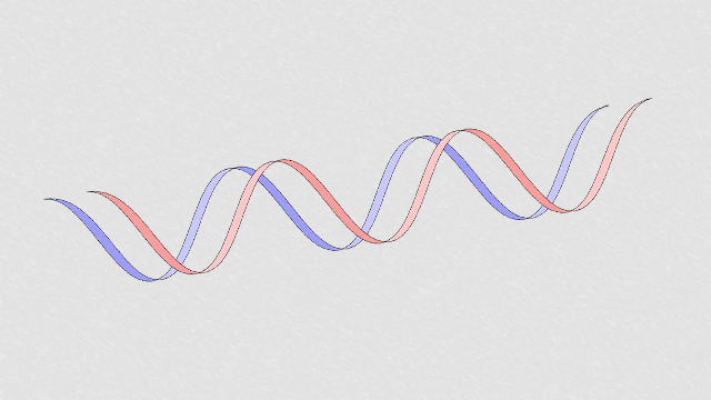 Genetics