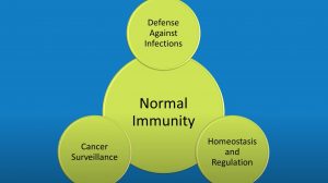 Thumbnail image for Non-infectious Primary Immunodeficiency Complications. Click to play.