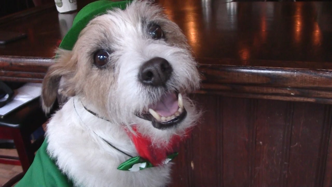 “If you’re lucky enough to be Irish… You’re lucky enough!” Thumbnail