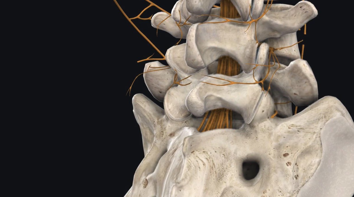 VR Educational Tool for Lumbar Thermal Radiofrequency Neurotomy Offers Immersive Features Thumbnail