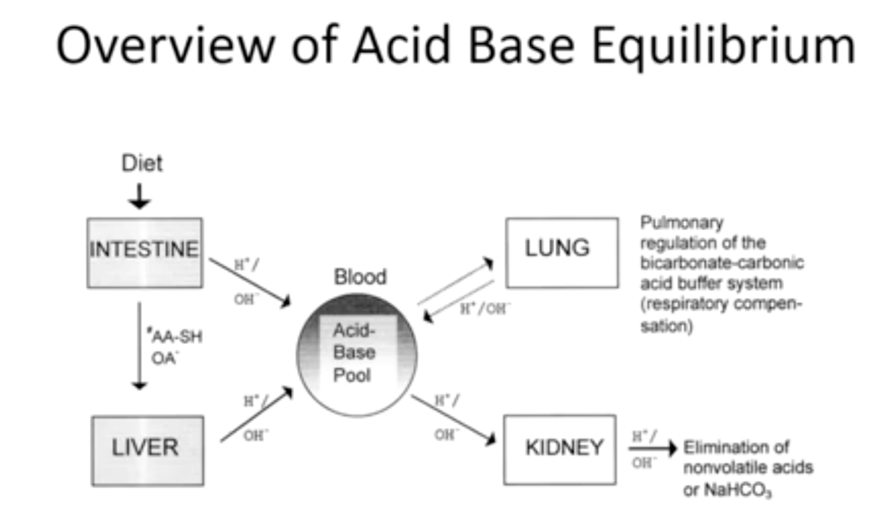 Acid/Base Equilibrium Thumbnail