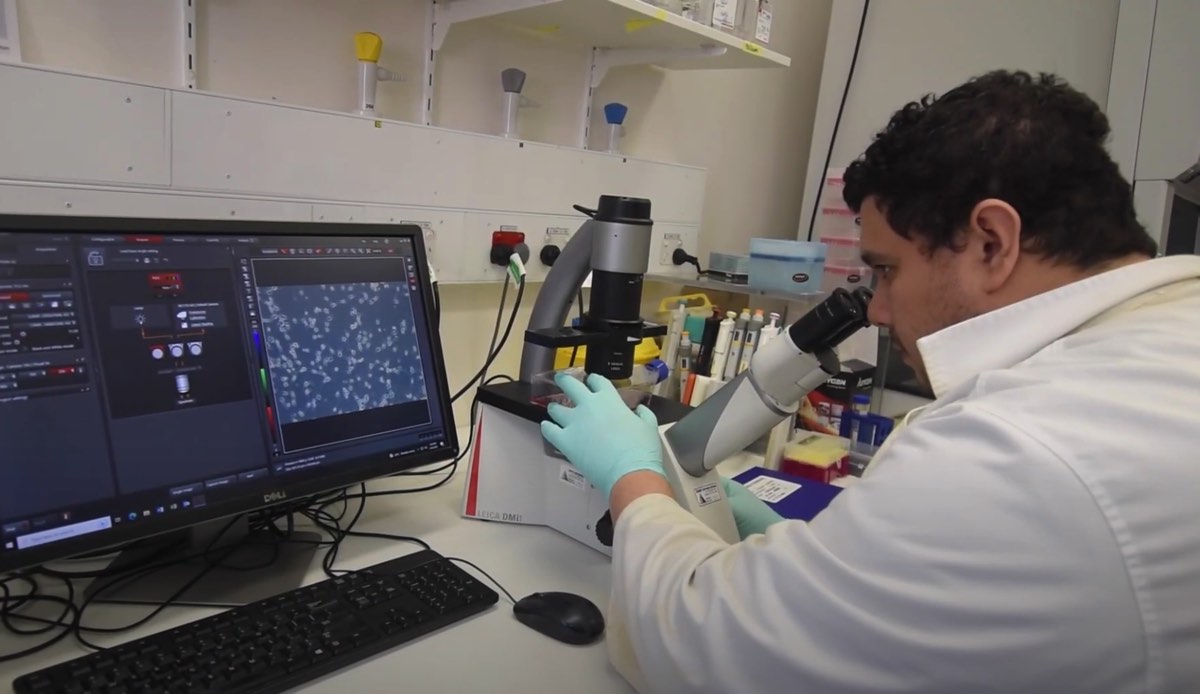 Immunological Mechanism Defense Against COPD Pathogens Thumbnail