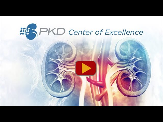 What Causes Polycystic Kidney Disease (PKD)? Thumbnail