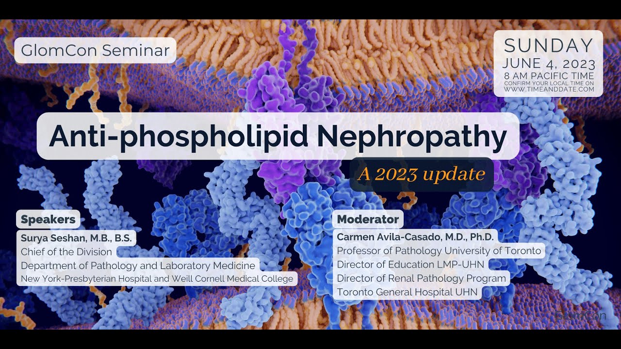 Anti-Phospholipid Nephropathy, a 2023 update Thumbnail