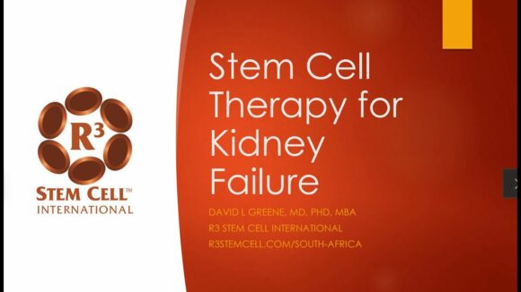 Stem Cell Therapy for Kidney Failure in South Africa - The Doctor's ...