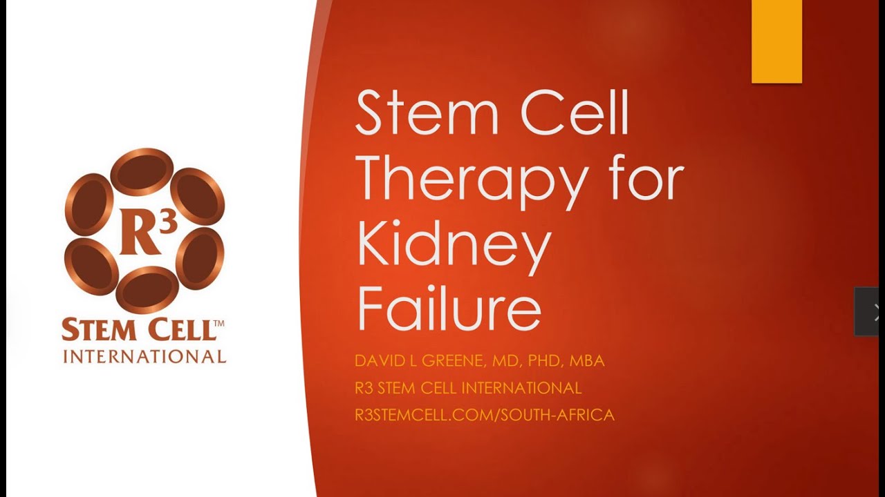 Stem Cell Therapy for Kidney Failure in South Africa Thumbnail