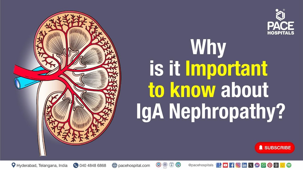 IgA Nephropathy Importance | Why is it Important to know about IgA Nephropathy? Thumbnail
