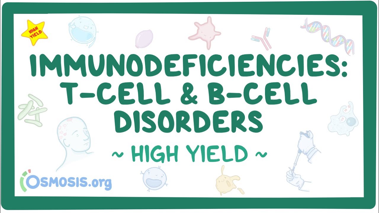Immunodeficiencies: T-cell and B-cell Disorders: Pathology Review Thumbnail