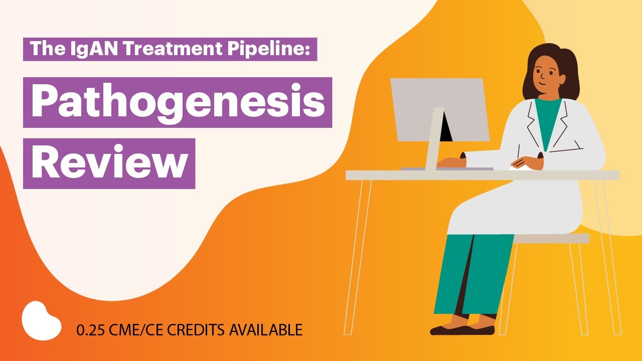 The IgAN Treatment Pipeline: Pathogenesis Review Thumbnail