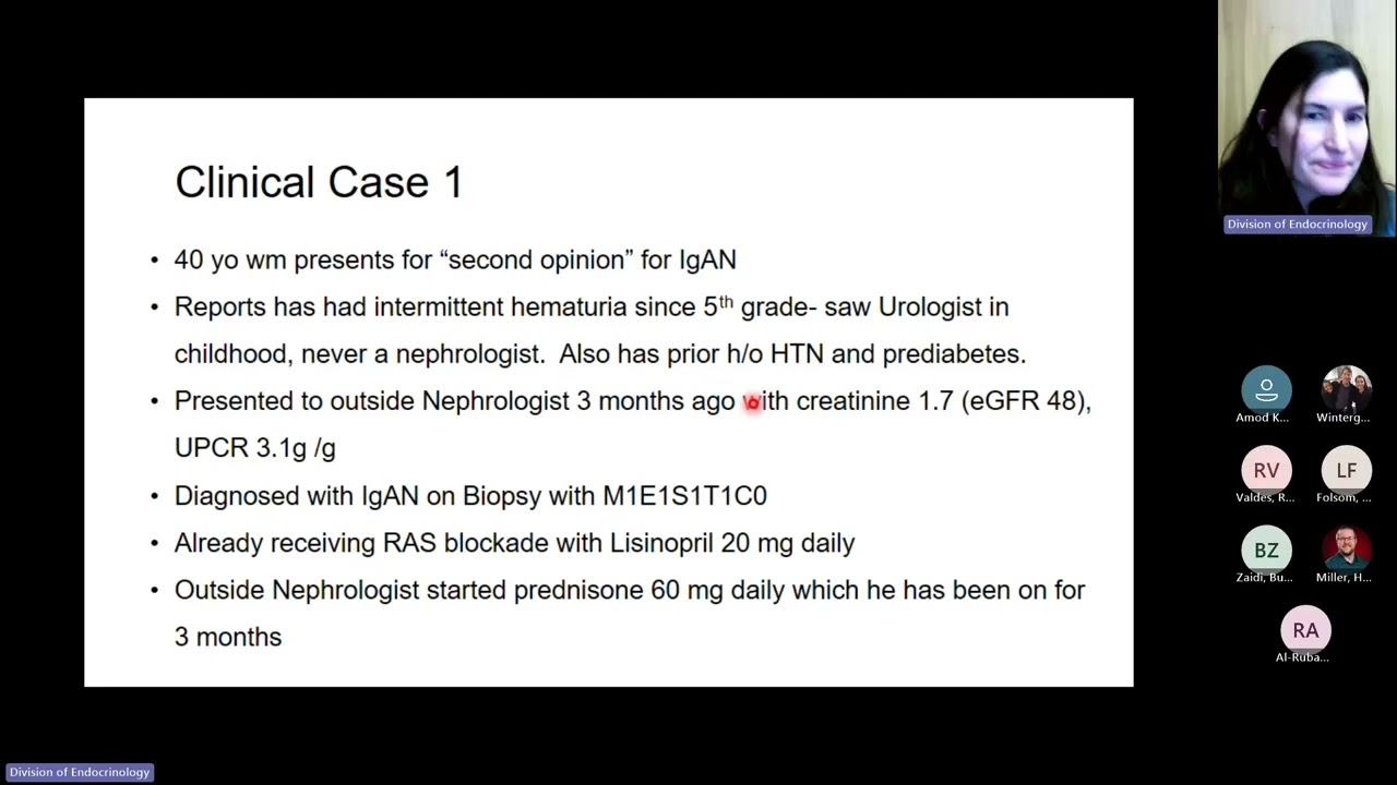 The Therapy Evolution in IgA Nephropathy Thumbnail